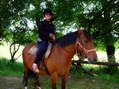 Horse riding - Castel de Cantobre G&icirc;tes, Aveyron, France