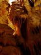 Stalactites at Aven Armand - Castel de Cantobre G&icirc;tes, Aveyron, France