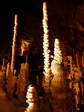 Stalagmites at Aven Armand - Castel de Cantobre G&icirc;tes, Aveyron, France