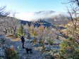 Winter in Cantobre - Castel de Cantobre G&icirc;tes, Aveyron, France