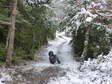 Winter in Cantobre (the snow usually only lasts a day or two) - Castel de Cantobre G&icirc;tes, Aveyron, France