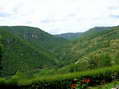 The Dourbie Valley leaves Saint Veran heading towards Millau - Castel de Cantobre G&icirc;tes, Aveyron, France