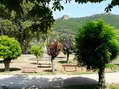 The park at Nant - Castel de Cantobre G&icirc;tes, Aveyron, France