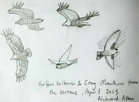A drawing by S, R & B