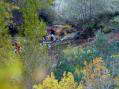 Through the Trevezel river - Castel de Cantobre G&icirc;tes, Aveyron, France