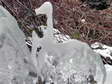 Ice formations in Cantobre - Castel de Cantobre G&icirc;tes, Aveyron, France