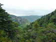 View on the way up (and down) - Castel de Cantobre G&icirc;tes, Aveyron, France