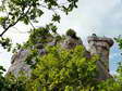 Camel - Castel de Cantobre G&icirc;tes, Aveyron, France